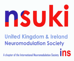 NSUKI logo.png