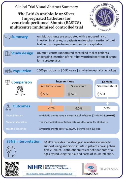 SBNS-BASICS summary.jpg